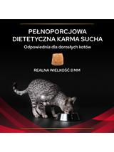 PRO PLAN Veterinary Diets DM St/Ox Diabetes Management Karma sucha dla kota 5kg Opakowanie uszkodzone (2582,2889,4929,6373)
