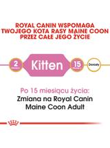 ROYAL CANIN Maine Coon Kitten 10kg karma sucha dla kociąt, do 15 miesiąca, rasy maine coon