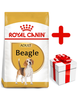 ROYAL CANIN Beagle Adult 12kg karma sucha dla psów dorosłych rasy beagle + niespodzianka dla psa GRATIS!