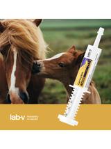 Lab-v CarboVet Źrebię - Preparat na wzdęcia dla źrebiąt 20 ml