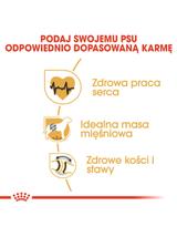 ROYAL CANIN Rottweiler Adult 11kg karma sucha dla psów dorosłych rasy rottweiler / Opakowanie uszkodzone (7004) !!!