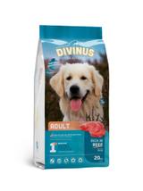 Divinus Adult dla psów dorosłych 20kg