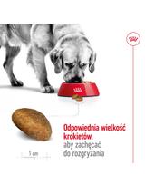 ROYAL CANIN®   Maxi Adult 14,8 kg karma sucha dla psów dorosłych, do 5. roku życia, ras dużych Opakowanie uszkodzone (8611,9387)  !!!!