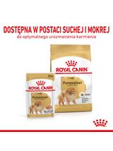 ROYAL CANIN Pomeranian Adult 500g karma sucha dla psów dorosłych rasy Pomeranian + niespodzianka dla psa GRATIS
