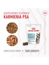 Royal Canin Joint & Ageing Adult Chews 240g