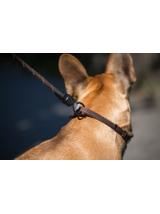 KERBL Smycz sznurkowa GoLeyGo, z Adapterem,czarna, 8mm x 140-200cm,S,max.15kg