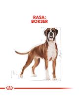 ROYAL CANIN Boxer Puppy 12kg + niespodzianka dla psa GRATIS!