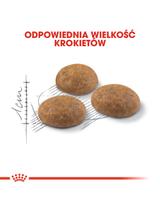 ROYAL CANIN  Outdoor 30 1,5kg karma sucha dla kotów dorosłych, wychodzących na zewnątrz  / Opakowanie uszkodzone (8900) !!!