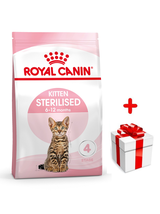 ROYAL CANIN  Kitten Sterilised 400g karma sucha dla kociąt od 6 do 12 miesiąca życia, sterylizowanych + niespodzianka dla kota GRATIS!