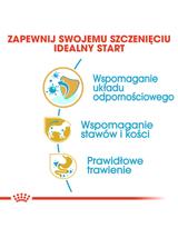 ROYAL CANIN Dachshund Puppy 1,5kg karma sucha dla szczeniąt do 10 miesiąca, rasy jamnik