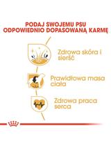 ROYAL CANIN Cocker Spaniel Adult 12kg karma sucha dla psów dorosłych rasy cocker spaniel + niespodzianka dla psa GRATIS!