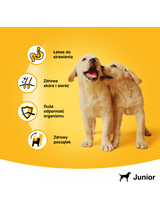 PEDIGREE Junior puszka 400g – mokra, pełnoporcjowa karma dla szczeniąt, z kurczakiem w galaretce