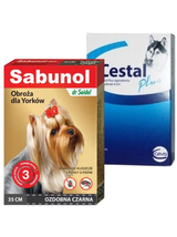 Sabunol ozdobna czarna obroża dla Yorków 35 cm+ Cestal Dog Plus tabletki na odrobaczanie psów 2 sztuki