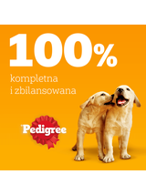 PEDIGREE Junior mix smaków w galaretce 12x100g