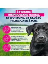 EUKANUBA Adult Large Breed Chicken 15kg