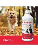 Lab-v Arthrohard 1000ml Preparat na wsparcie stawów dla psa i kota