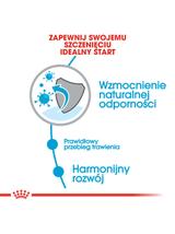 ROYAL CANIN Mini Puppy 8kg  + niespodzianka dla psa GRATIS!