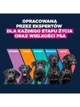 EUKANUBA Mature Large Breeds Kurczak 15 kg