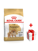 ROYAL CANIN Pomeranian Adult 500g karma sucha dla psów dorosłych rasy Pomeranian + niespodzianka dla psa GRATIS