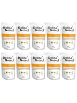 DOLINA NOTECI Premium Kaczka z dynią 10x150g