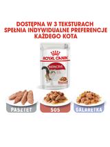 ROYAL CANIN  Instinctive 12x85g w sosie karma mokra w sosie dla kotów dorosłych, wybrednych