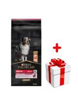 Purina Pro Plan Medium Adult Sensitive Skin Optiderma, łosoś i ryż 14kg   + niespodzianka dla psa GRATIS!