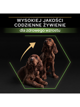 Purina Pro Plan Large Puppy Athletic Optistart, kurczak i ryż 12kg