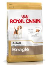 ROYAL CANIN Beagle Adult 12kg karma sucha dla psów dorosłych rasy beagle + niespodzianka dla psa GRATIS!