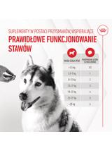 Royal Canin Joint & Ageing Adult Chews 240g