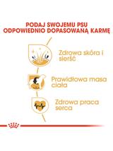 ROYAL CANIN Cocker Spaniel Adult 11,4kg karma sucha dla psów dorosłych rasy cocker spaniel/ opakoanie uszkodzone (7683)