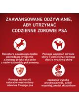 PURINA ONE Adult Medium/Maxi Karma dla dorosłych psów bogata w indyka 2,5 kg
