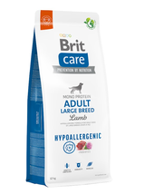 BRIT CARE Dog Hypoallergenic Adult Large Breed Lamb 12kg / Opakowanie uszkodzone (9435,9584,9520,9557)!!