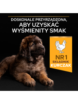 PRO PLAN Healthy Start Large Robust Puppy Karma dla szczeniąt bogata w kurczaka 12kg
