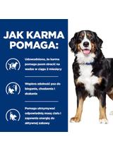 Hill's Prescription Diet Metabolic + Mobility Canine - 12 kg