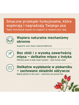 AniForte Przysmak na odporność - przysmak dla psa 50g