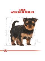 ROYAL CANIN Yorkshire Terrier Puppy 500g karma sucha dla szczeniąt do 10 miesiąca, rasy yorkshire terrier