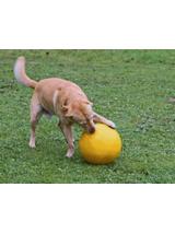 KERBL Piłka do zabawy dla psów odporna na ugryzienia Agility XXL 30cm