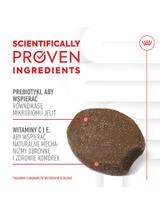 Royal Canin Puppy Immunity & Digestion Chews 100g