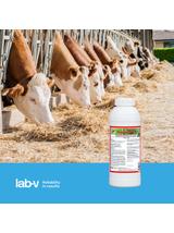 Lab-v Hepasil Vet Dla Bydła - Mieszanka Paszowa Dla Bydła Na Poprawę Funkcjonowania Wątroby 1kg