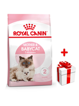 ROYAL CANIN  Mother&Babycat 4kg karma sucha dla kotek w okresie ciąży, laktacji i kociąt od 1 do 4 miesiąca życia + niespodzianka dla kota GRATIS!