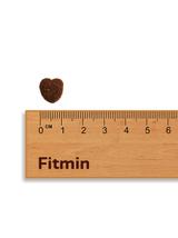 FITMIN For Life Mini Adult 12kg