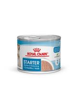 ROYAL CANIN Starter Mousse Mother & Babydog 195g karma mokra - mus, dla suk w czasie ciąży, laktacji oraz szczeniąt