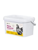 Lab-v Pióra Mineral Vit – wsparcie upierzenia i kondycji skóry drobiu grzebiącego 2000 g