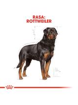 ROYAL CANIN Rottweiler Adult 11kg karma sucha dla psów dorosłych rasy rottweiler / Opakowanie uszkodzone (7004) !!!