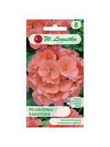 Pelargonia rabatowa Gama F1 - łososiowa