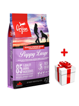 ORIJEN Puppy Large 6kg + niespodzianka dla psa GRATIS!