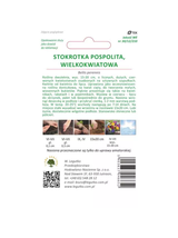 Stokrotka pospolita wielkokwiatowa Gracja - czerwona