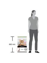 PRO PLAN Sterilised Vital Functions Karma dla kotów bogata w łososia 10kg + niespodzianka dla kota GRATIS!