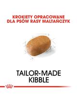 ROYAL CANIN Maltese Adult 1,5kg karma sucha dla psów dorosłych rasy maltańczyk