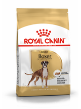 ROYAL CANIN Boxer Adult 12kg karma sucha dla psów dorosłych rasy bokser  + niespodzianka dla psa GRATIS!